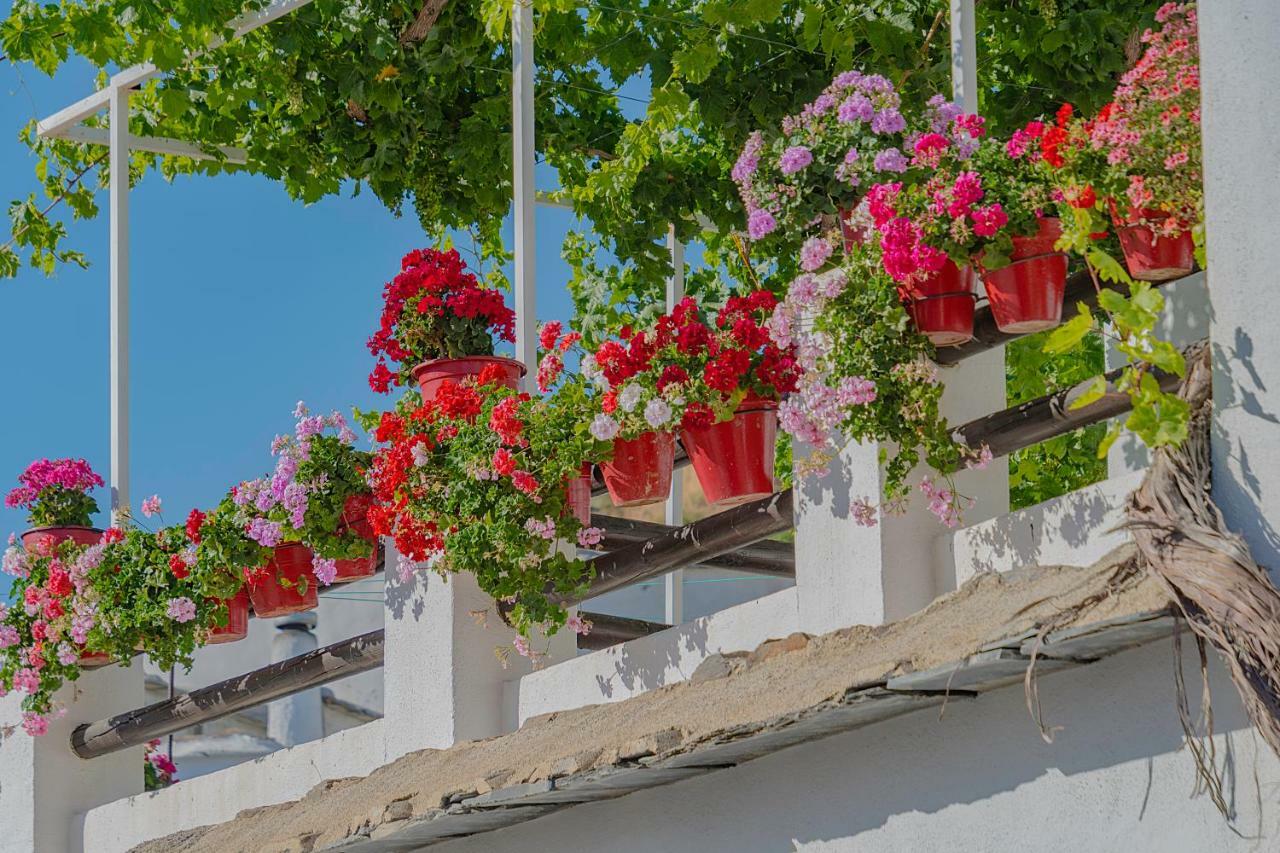 Apartamentos Rurales Las Chimeneas Capileira Kültér fotó